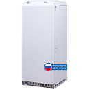 Котел напольный газовый с водяным контуром РГА 17К SG АОГВК (17,4 кВт, автоматика САБК)